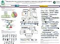 Cover page: Mapping the Two-component Regulatory Networks in Desulfovibrio vulgaris