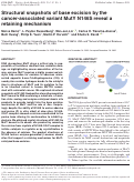 Cover page: Structural snapshots of base excision by the cancer-associated variant MutY N146S reveal a retaining mechanism