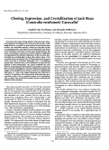 Cover page: Cloning, Expression, and Crystallization of Jack Bean (Canavalia ensiformis) Canavalin