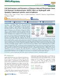 Cover page: Cell Architecture and Dynamics of Human Induced Pluripotent Stem Cell-Derived Cardiomyocytes (hiPSC-CMs) on Hydrogels with Spatially Patterned Laminin and N-Cadherin.