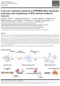 Cover page: A de novo missense mutation in PPP2R5D alters dopamine pathways and morphology of iPSC-derived midbrain neurons.