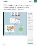 Cover page: Single-Cell RNA-seq Reveals Profound Alterations in Mechanosensitive Dorsal Root Ganglion Neurons with Vitamin E Deficiency