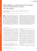 Cover page: RLIP76 (RalBP1) is an R-Ras effector that mediates adhesion-dependent Rac activation and cell migration