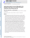 Cover page: Spatio-temporal pattern of neuronal differentiation in the Drosophila visual system: A user’s guide to the dynamic morphology of the developing optic lobe