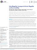 Cover page: Intraflagellar transport drives flagellar surface motility