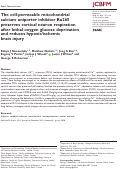 Cover page: The cell-permeable mitochondrial calcium uniporter inhibitor Ru265 preserves cortical neuron respiration after lethal oxygen glucose deprivation and reduces hypoxic/ischemic brain injury.