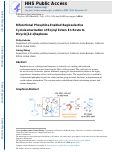 Cover page: Bifunctional Phosphine-Enabled Regioselective Cycloisomerization of Enynyl Esters En Route to Bicyclo[2.2.1]heptenes