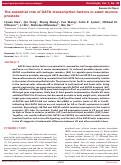 Cover page: The essential role of GATA transcription factors in adult murine prostate.