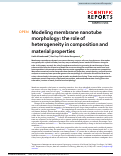 Cover page: Modeling membrane nanotube morphology: the role of heterogeneity in composition and material properties