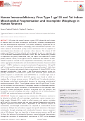 Cover page: Human Immunodeficiency Virus Type 1 gp120 and Tat Induce Mitochondrial Fragmentation and Incomplete Mitophagy in Human Neurons