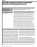 Cover page: Spatially organized cellular communities form the developing human heart.