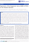 Cover page: Expression of the Epigenetic factor BORIS (CTCFL) in the Human Genome