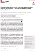 Cover page: DNA Methylation and RNA-DNA Hybrids Regulate the Single-Molecule Localization of a DNA Methyltransferase on the Bacterial Nucleoid.