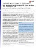 Cover page: Restoration of visual function by expression of a light-gated mammalian ion channel in retinal ganglion cells or ON-bipolar cells