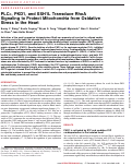 Cover page: PLCε, PKD1, and SSH1L Transduce RhoA Signaling to Protect Mitochondria from Oxidative Stress in the Heart