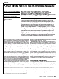 Cover page: A map of the rubisco biochemical landscape.