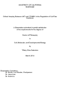 Cover page: Critical Interplay Between AKT and CTNNB1 in the Regulation of Cell Fate Decisions