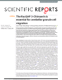 Cover page: The RacGAP β-Chimaerin is essential for cerebellar granule cell migration