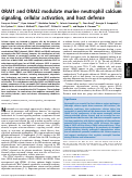 Cover page: ORAI1 and ORAI2 modulate murine neutrophil calcium signaling, cellular activation, and host defense