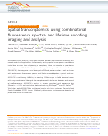 Cover page: Spatial transcriptomics using combinatorial fluorescence spectral and lifetime encoding, imaging and analysis