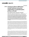 Cover page: Grazing-incidence diffraction reveals cellulose and pectin organization in hydrated plant primary cell wall