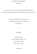 Cover page: Incomplete Autonomy at the Limits of (Neo)liberalism: Mapping Indigenous Ungovernability Within the Global Uncommons in Jharkhand, India, and Oaxaca, Mexico