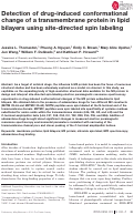 Cover page: Detection of drug‐induced conformational change of a transmembrane protein in lipid bilayers using site‐directed spin labeling