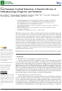 Cover page: Post-Traumatic Cerebral Infarction: A Narrative Review of Pathophysiology, Diagnosis, and Treatment.