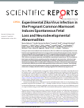 Cover page: Experimental Zika Virus Infection in the Pregnant Common Marmoset Induces Spontaneous Fetal Loss and Neurodevelopmental Abnormalities