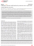 Cover page: Clinically relevant small-molecule promotes nerve repair and visual function recovery.