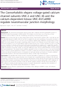 Cover page: The Caenorhabditis elegans voltage-gated calcium channel subunits UNC-2 and UNC-36 and the calcium-dependent kinase UNC-43/CaMKII regulate neuromuscular junction morphology