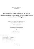 Cover page: Self-assembling DNA complexes: an in vitro platform to probe the relation between transcription and condensed DNA phases