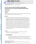 Cover page: TCF7l2, a nuclear marker that labels premyelinating oligodendrocytes and promotes oligodendroglial lineage progression