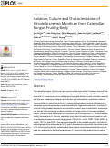 Cover page: Isolation, Culture and Characterization of Hirsutella sinensis Mycelium from Caterpillar Fungus Fruiting Body