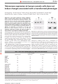 Cover page: Telomerase expression in human somatic cells does not induce changes associated with a transformed phenotype