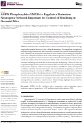 Cover page: AMPK Phosphorylates LMX1b to Regulate a Brainstem Neurogenic Network Important for Control of Breathing in Neonatal Mice.