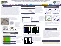 Cover page: Investigation of Cr(VI) tolerant bacteria from Cr(VI)-contaminated 100H site at Hanford, WA