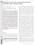 Cover page: Maintenance of muscle mass and load‐induced growth in Muscle RING Finger 1 null mice with age