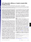 Cover page: ATP-independent diffusion of double-stranded RNA binding proteins