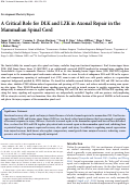 Cover page: A Critical Role for DLK and LZK in Axonal Repair in the Mammalian Spinal Cord.