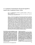 Cover page: A T-lymphoma transmembrane glycoprotein (gp180) is linked to the cytoskeletal protein, fodrin.