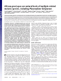 Cover page: African great apes are natural hosts of multiple related malaria species, including Plasmodium falciparum