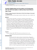 Cover page: Estradiol‐17β stimulates H2S biosynthesis by ER‐dependent CBS and CSE transcription in uterine artery smooth muscle cells in vitro