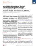 Cover page: REEP3/4 Ensure Endoplasmic Reticulum Clearance from Metaphase Chromatin and Proper Nuclear Envelope Architecture