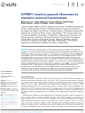 Cover page: GTPBP1 resolves paused ribosomes to maintain neuronal homeostasis