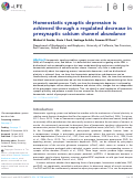 Cover page: Homeostatic synaptic depression is achieved through a regulated decrease in presynaptic calcium channel abundance.