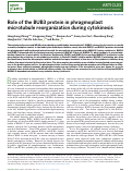 Cover page: Publisher Correction: Role of the BUB3 protein in phragmoplast microtubule reorganization during cytokinesis