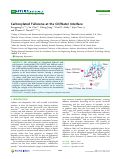 Cover page: Carboxylated Fullerene at the Oil/Water Interface