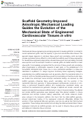 Cover page: Scaffold Geometry-Imposed Anisotropic Mechanical Loading Guides the Evolution of the Mechanical State of Engineered Cardiovascular Tissues in vitro