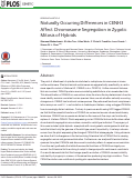 Cover page: Naturally Occurring Differences in CENH3 Affect Chromosome Segregation in Zygotic Mitosis of Hybrids